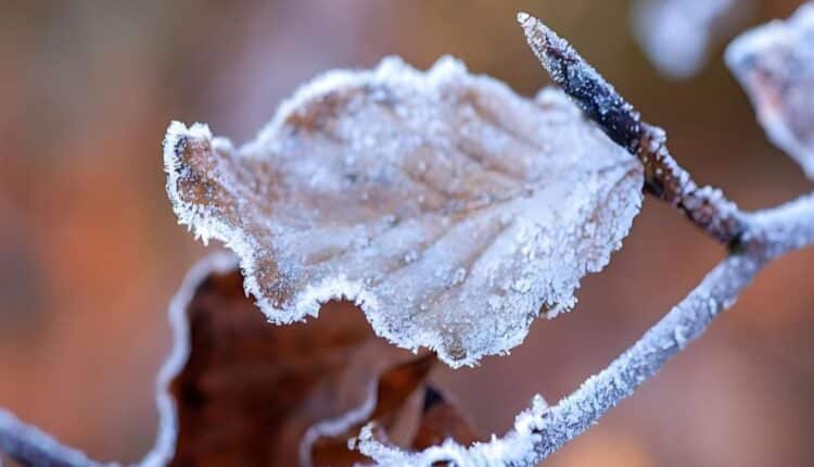 Território brasileiro fica sob alerta com temperaturas baixas e possibilidade de geada