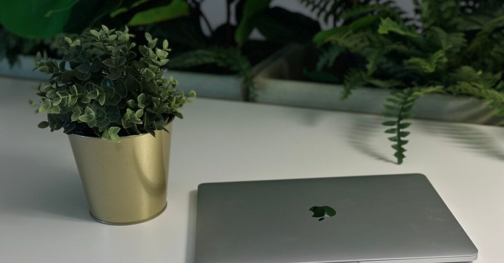 Ein sauberer und moderner Arbeitsplatz mit Laptop, Tastatur und Topfpflanze auf einem weißen Schreibtisch mit grünem Laub.